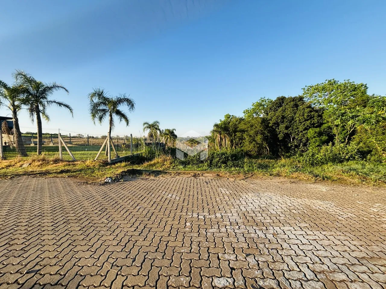 Vista externa de uma propriedade com vegetação e pavimento.