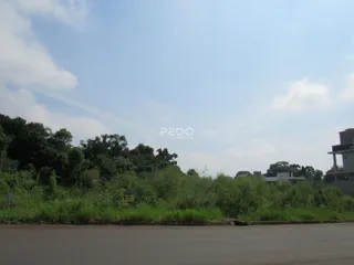 Paisagem de vegetação e estrada em Lajeado, Brasil.