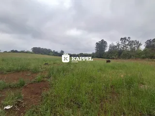 Vista de um campo aberto com vegetação verde e árvores ao fundo.