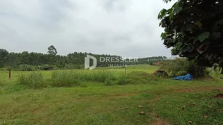 Área rural com 4 dormitórios, foto 14
