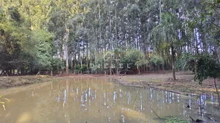 Área rural com 3 dormitórios, foto 4