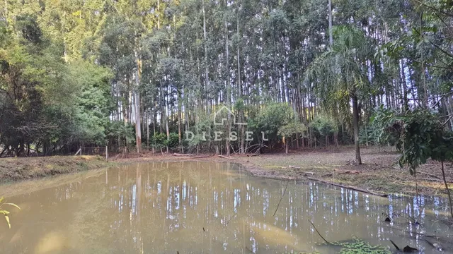Área rural com 3 dormitórios, foto 4