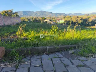 Terreno, foto 2