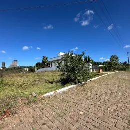 Vista externa de um terreno com vegetação seca e piso de tijolos.
