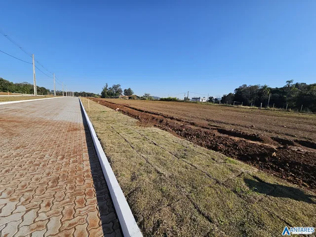 Terreno, foto 5