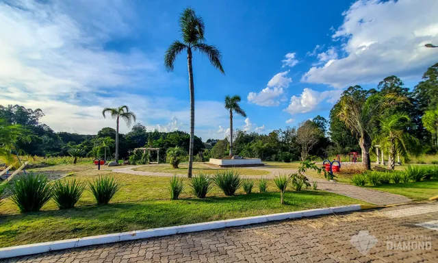 Terreno, foto 3