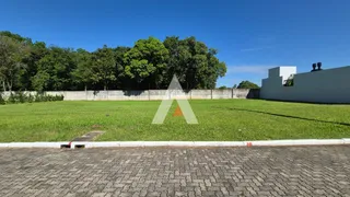 Terreno, foto 1
