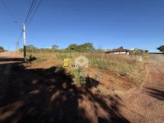 Vista da propriedade rural com vegetação alta e estrada de terra.