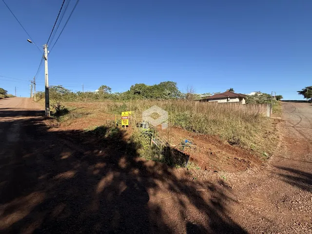 Vista da propriedade rural com vegetação alta e estrada de terra.