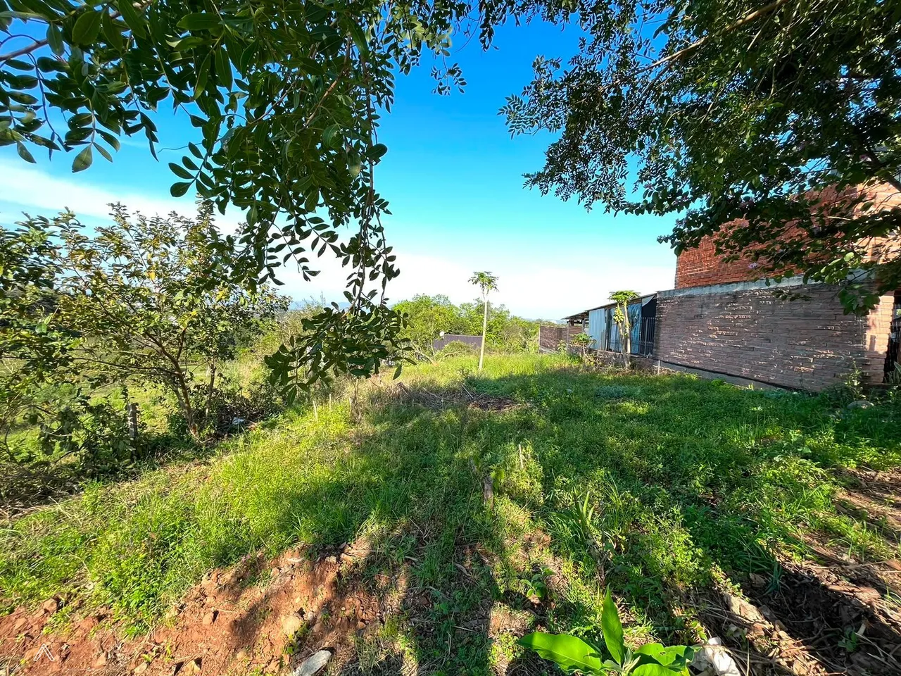 Terreno, foto 1