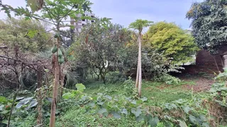 Casa com 4 dormitórios, foto 32