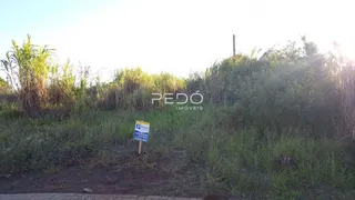 Terreno, foto 3