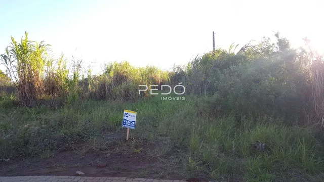 Terreno, foto 3