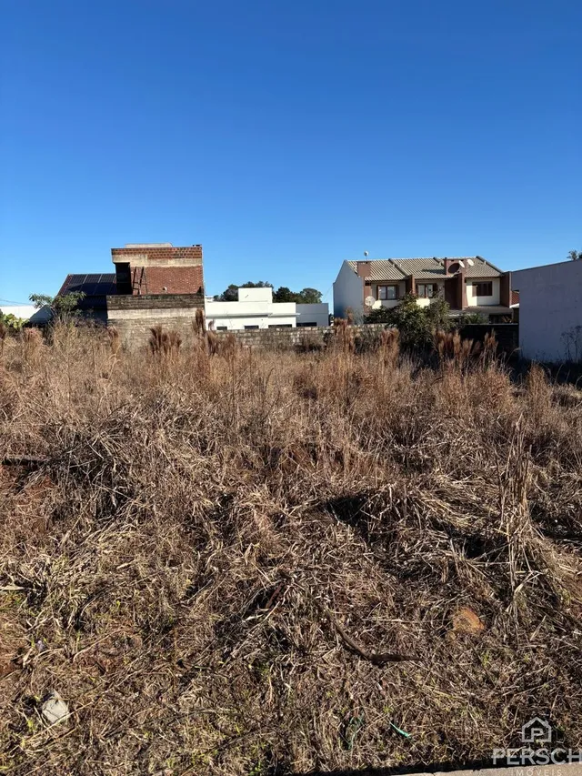 Terreno, foto 2