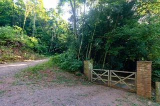 Área rural com 4 dormitórios, foto 48