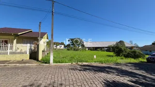 Terreno, foto 1