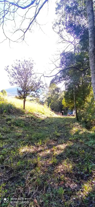 Terreno, foto 2