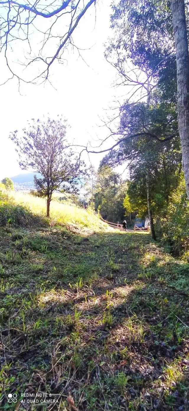 Terreno, foto 2