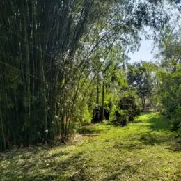 Área rural, foto 19