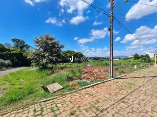 Vista externa de uma área com vegetação e uma estrada de tijolos.