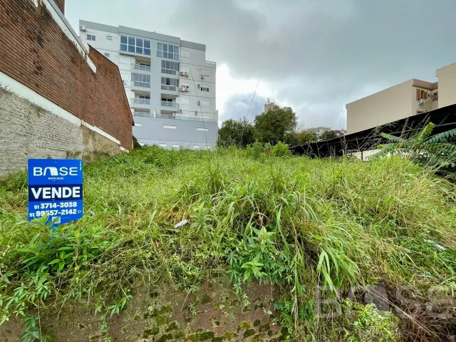 Terreno, foto 2