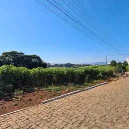 Terreno, foto 3