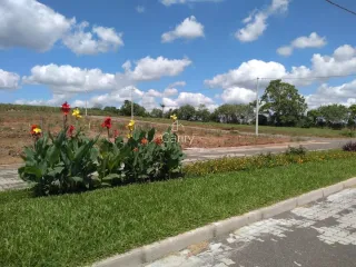 Terreno, foto 2