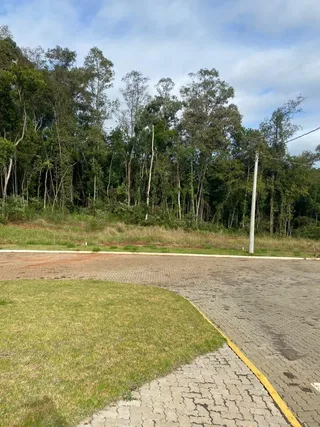 Terreno, foto 2