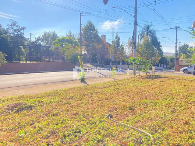 Terreno, foto 5