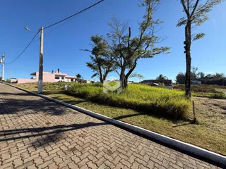 Vista externa de uma propriedade com gramado e árvores ao lado de uma rua pavimentada.
