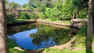 Vista de um lago natural cercado por vegetação densa em uma propriedade.