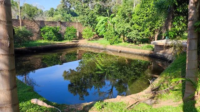 Vista de um lago natural cercado por vegetação densa em uma propriedade.