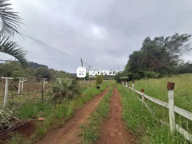 Uma estrada de terra atravessa uma área rural com vegetação densa.