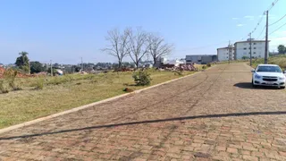 Vista de uma estrada de terra com vegetação seca em uma área externa.