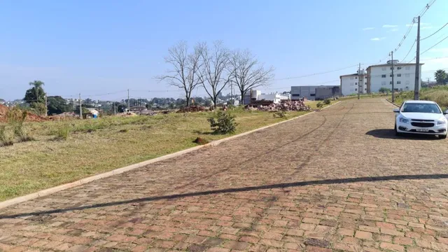 Vista de uma estrada de terra com vegetação seca em uma área externa.