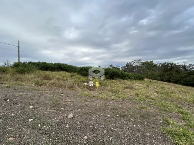 Vista de uma área de terra com vegetação densa ao fundo.