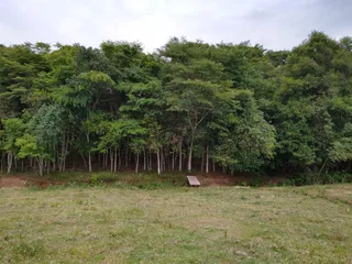 Área rural com 3 dormitórios, foto 2
