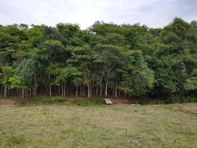 Área rural com 3 dormitórios, foto 2
