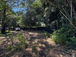 Vista de um terreno externo com vegetação densa e árvores.