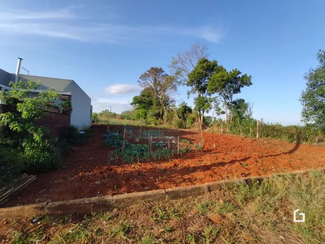 Vista externa de um terreno com solo avermelhado e vegetação rasteira.