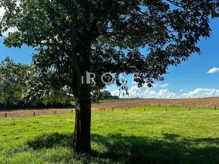 Área rural com 3 dormitórios, foto 16