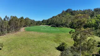 Vista de uma área gramada com vegetação densa ao fundo.
