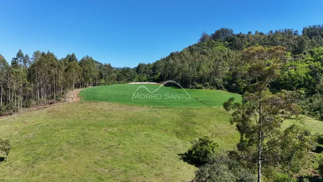 Vista de uma área gramada com vegetação densa ao fundo.