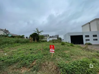 Paisagem de terreno com vegetação alta e construções ao fundo.