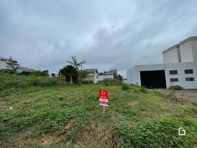 Paisagem de terreno com vegetação alta e construções ao fundo.