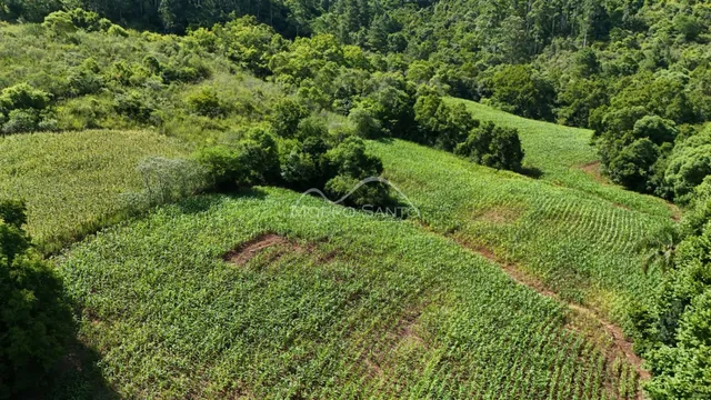 Área rural, foto 3