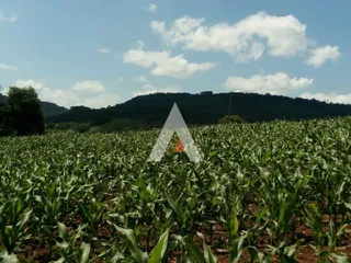 Área rural, foto 6