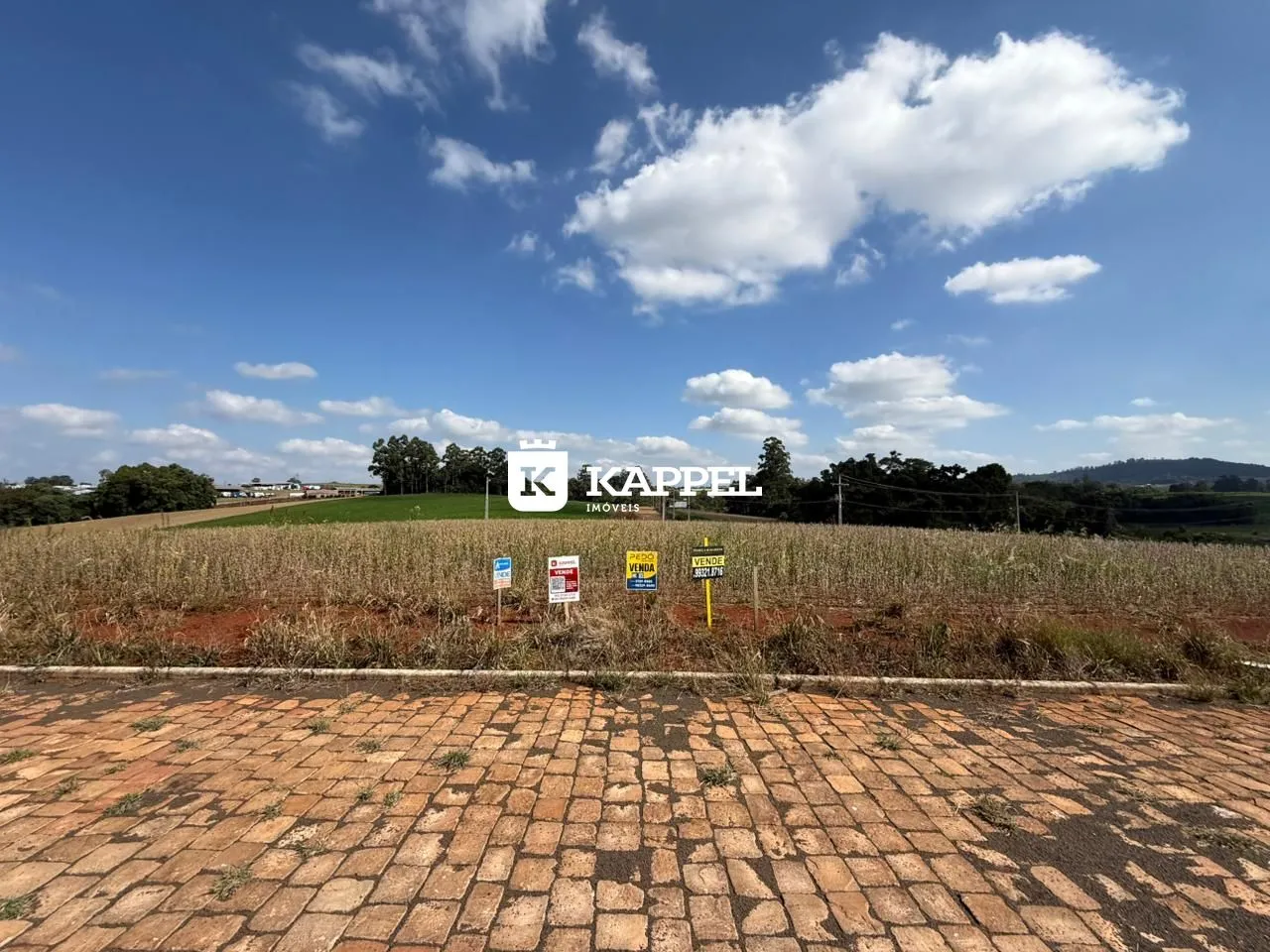 Vista externa de um campo aberto com placas de venda em Lajeado.