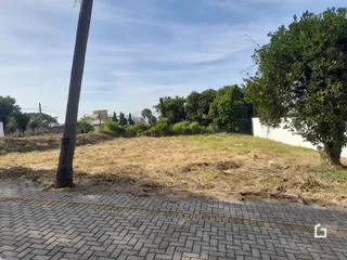 Vista externa de um terreno com vegetação seca e calçada no primeiro plano.