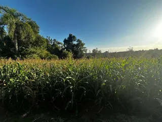 Área rural com 3 dormitórios, foto 45